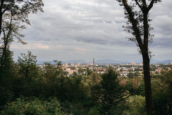 A cityscape with a mix of natural and urban elements, including trees, buildings, and distant mountains. - Vila na Landeku (Ostrava)