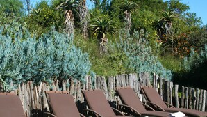 A row of sun loungers with towels, set against a wooden fence and surrounded by various plants and trees. - Leeuwenbosch Shearers Lodge (Paterson)