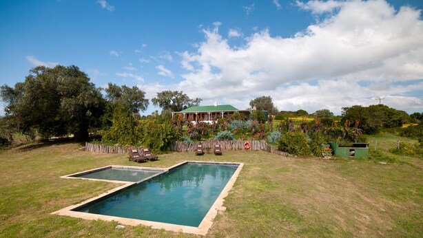 A large house with a green roof, surrounded by a well-maintained lawn and two swimming pools. - Leeuwenbosch Shearers Lodge (Paterson)