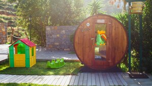 A wooden structure with a door, a small playhouse, and a green slide. - Wild Pear Villa (Malevizi)