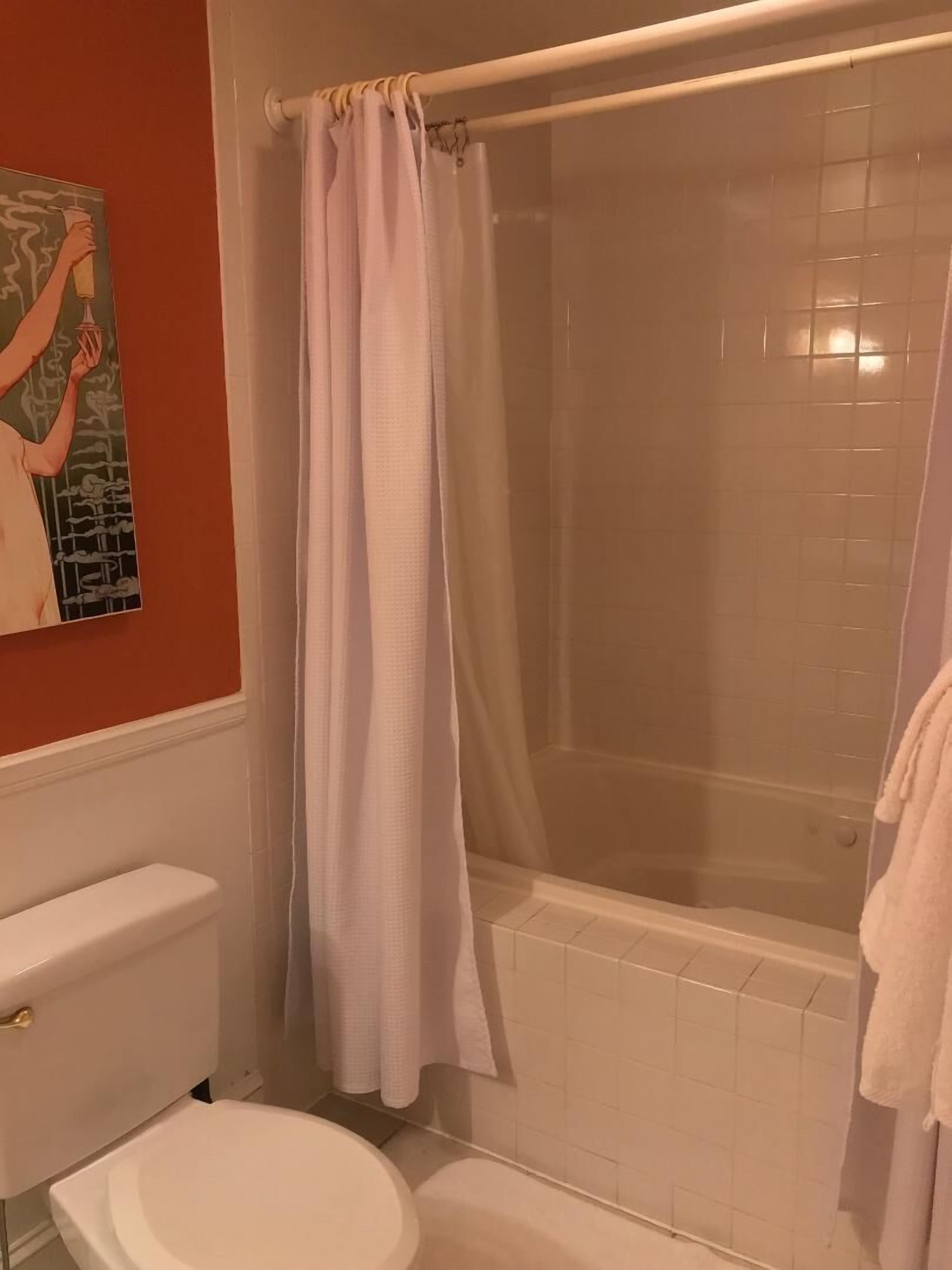 A bathroom with a toilet, a bathtub, and a shower curtain.