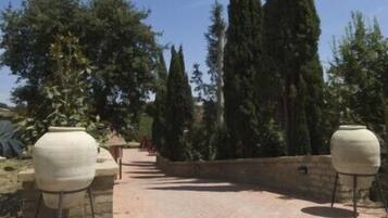 Teras/patio