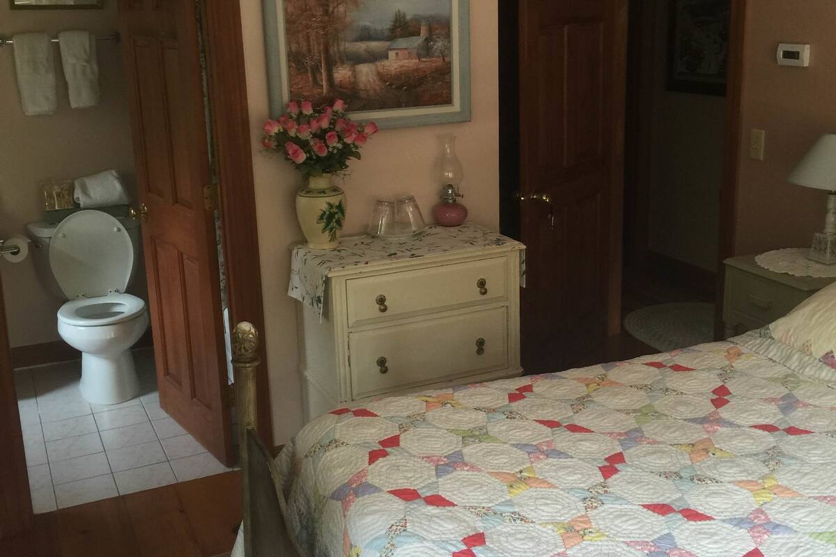 Un dormitori amb un llit, una petita taula de nit, un quadre, un vàter i una porta que dona a una altra habitació.