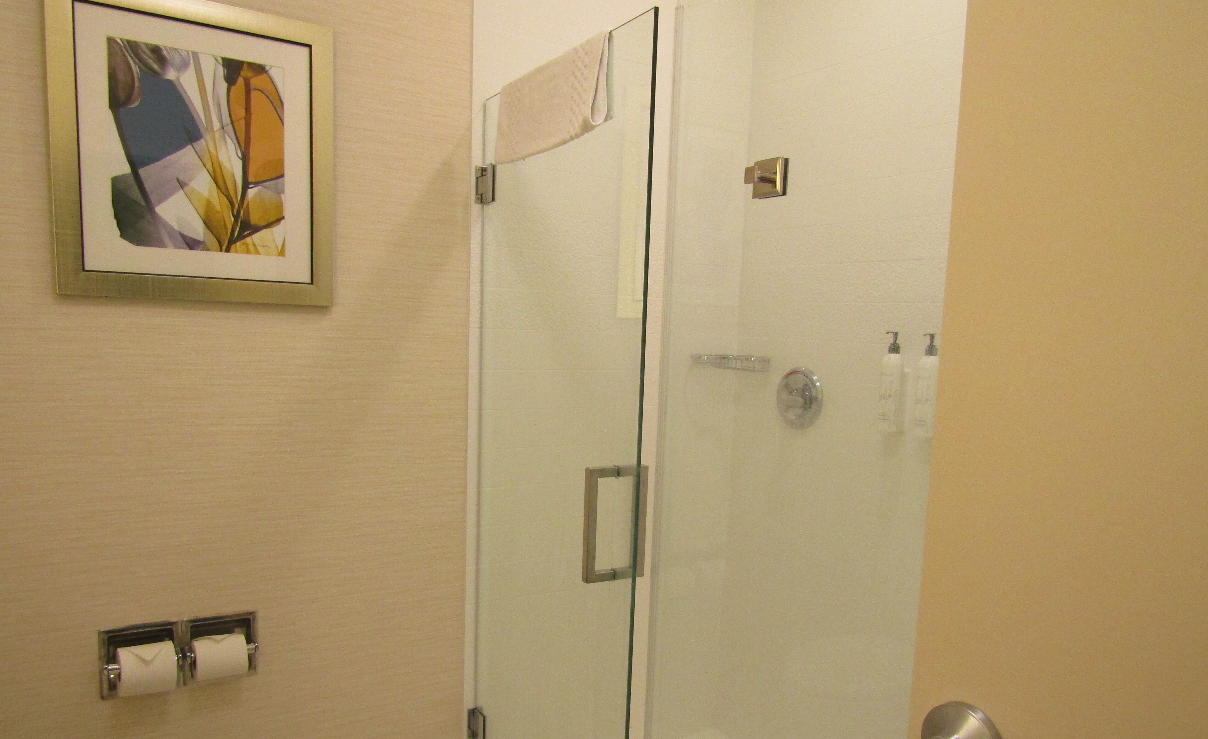 shower, free toiletries, hair dryer, towels