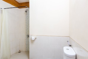 Shower, free toiletries, towels