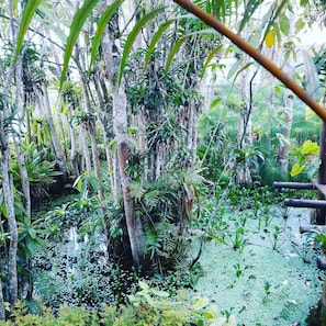 Bangalo Orquidea | View from room