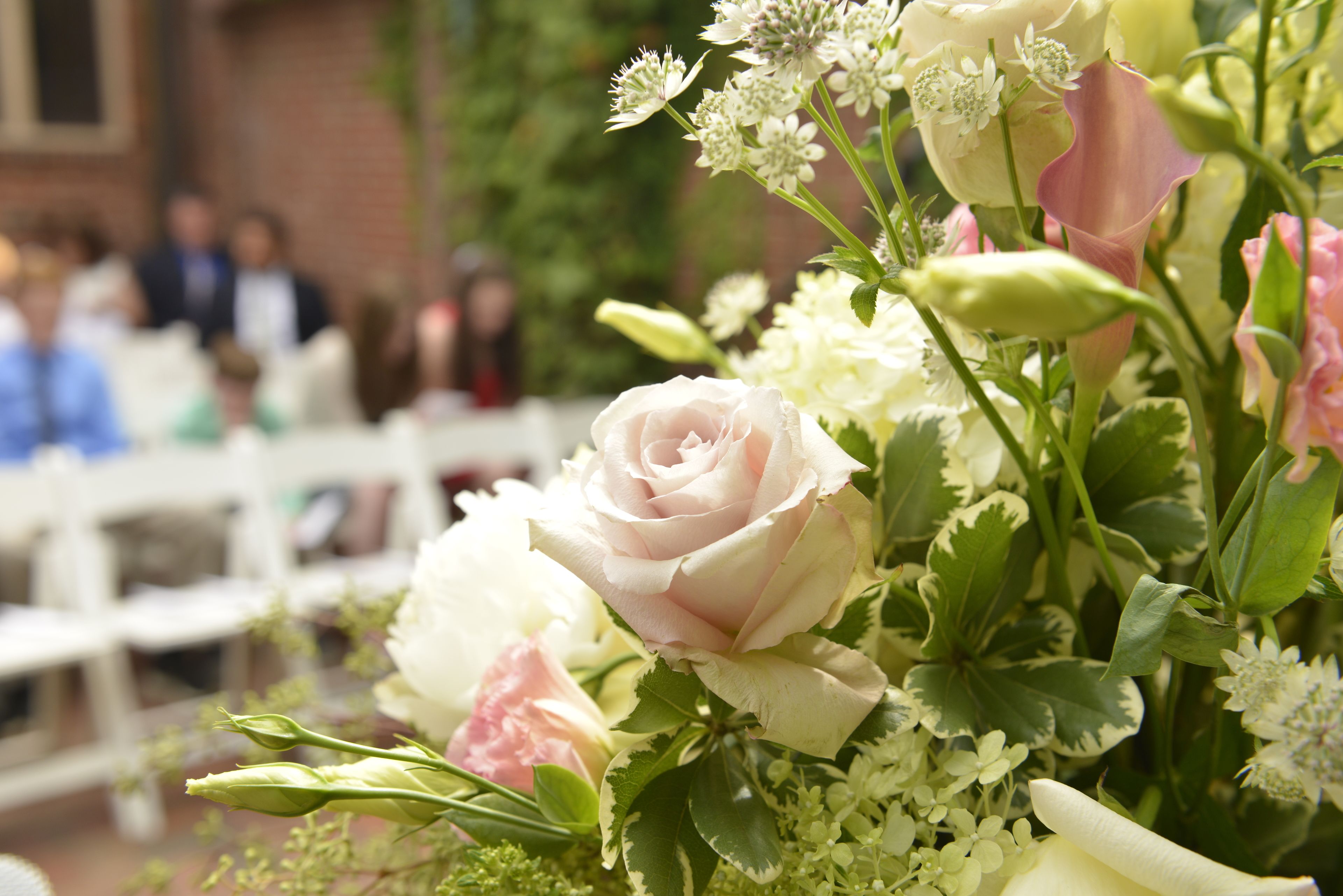 outdoor wedding area
