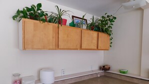 A kitchen with wooden cabinets, a countertop, and various potted plants. - Little Shamrock Motel A1 (Murfreesboro)