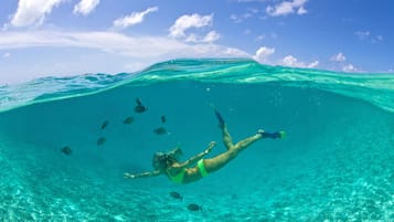 Una persona nada bajo el agua rodeada de peces, con agua cristalina y un cielo azul arriba.