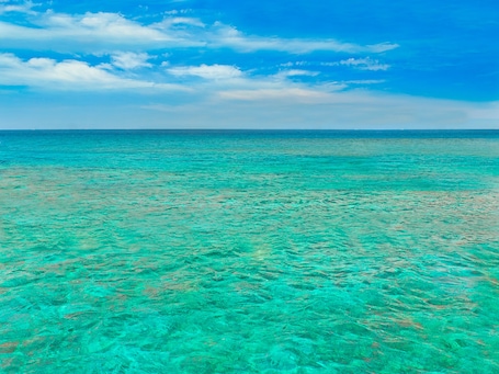 View from property. Oceans Edge Key West Resort, Hotel & Marina