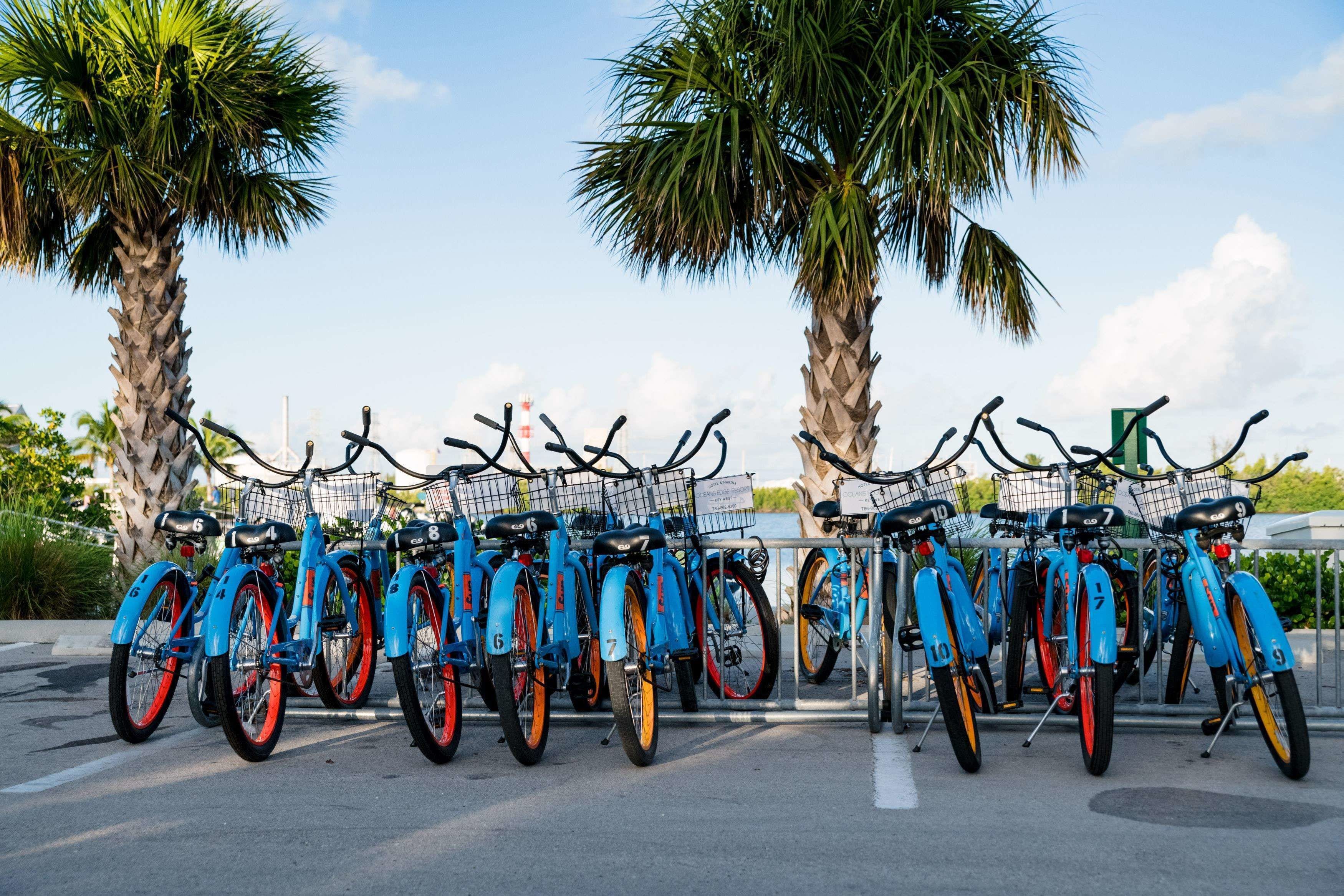 kayaking, motor boating, fishing