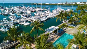 A marina with numerous boats docked, a swimming pool, and palm trees. - Hilton Key West Resort & Marina (Key West)