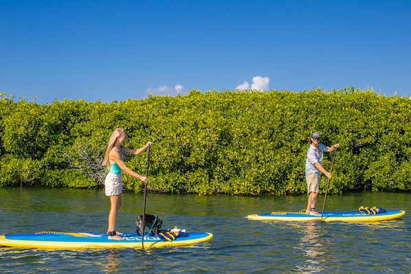 Two people on paddleboards in a body of water with a dense green hedge in the background.