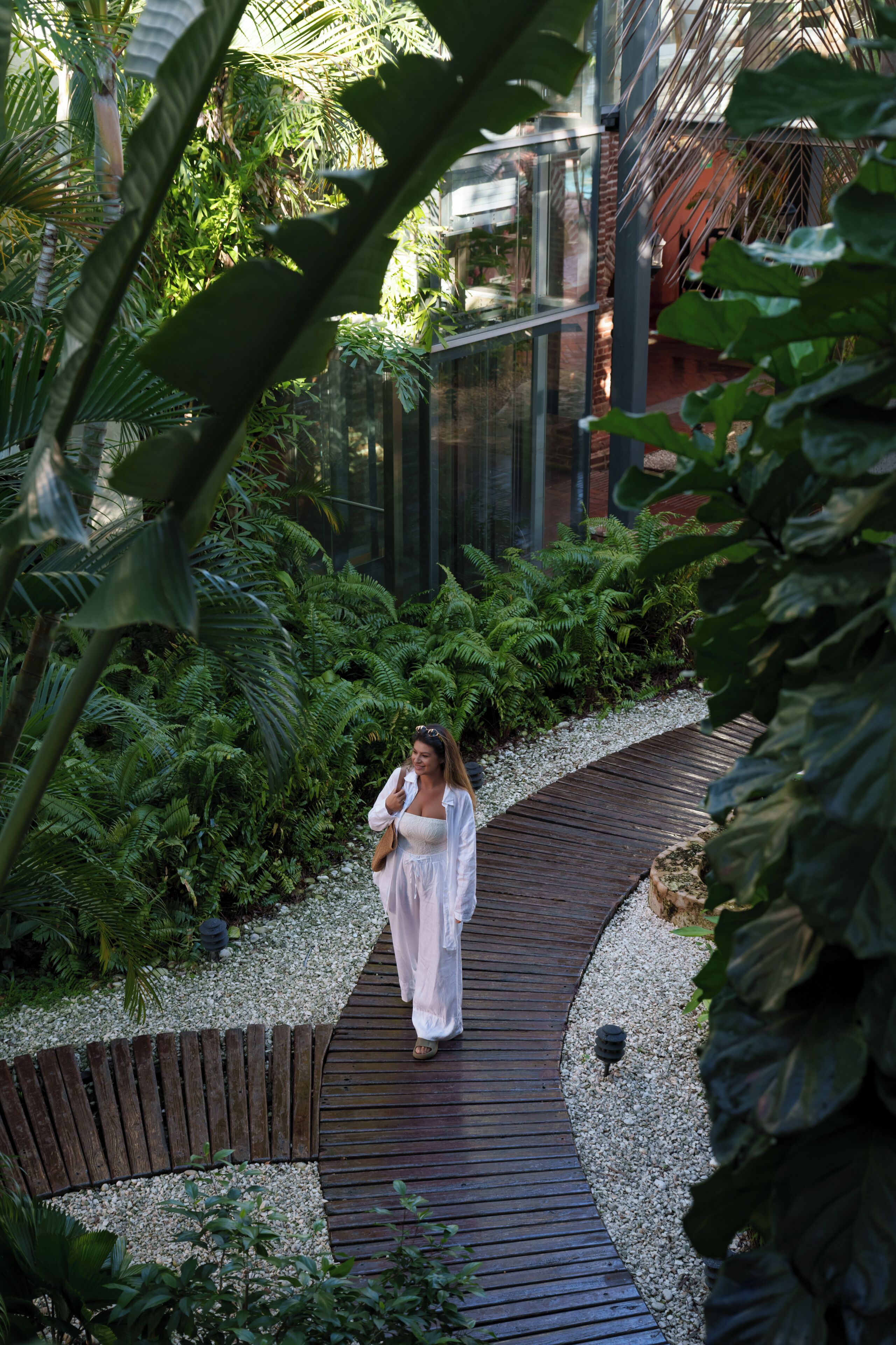 A pathway surrounded by lush greenery, leading to a building with a glass facade.
