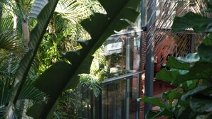 A pathway surrounded by lush greenery, leading to a building with a glass facade.
