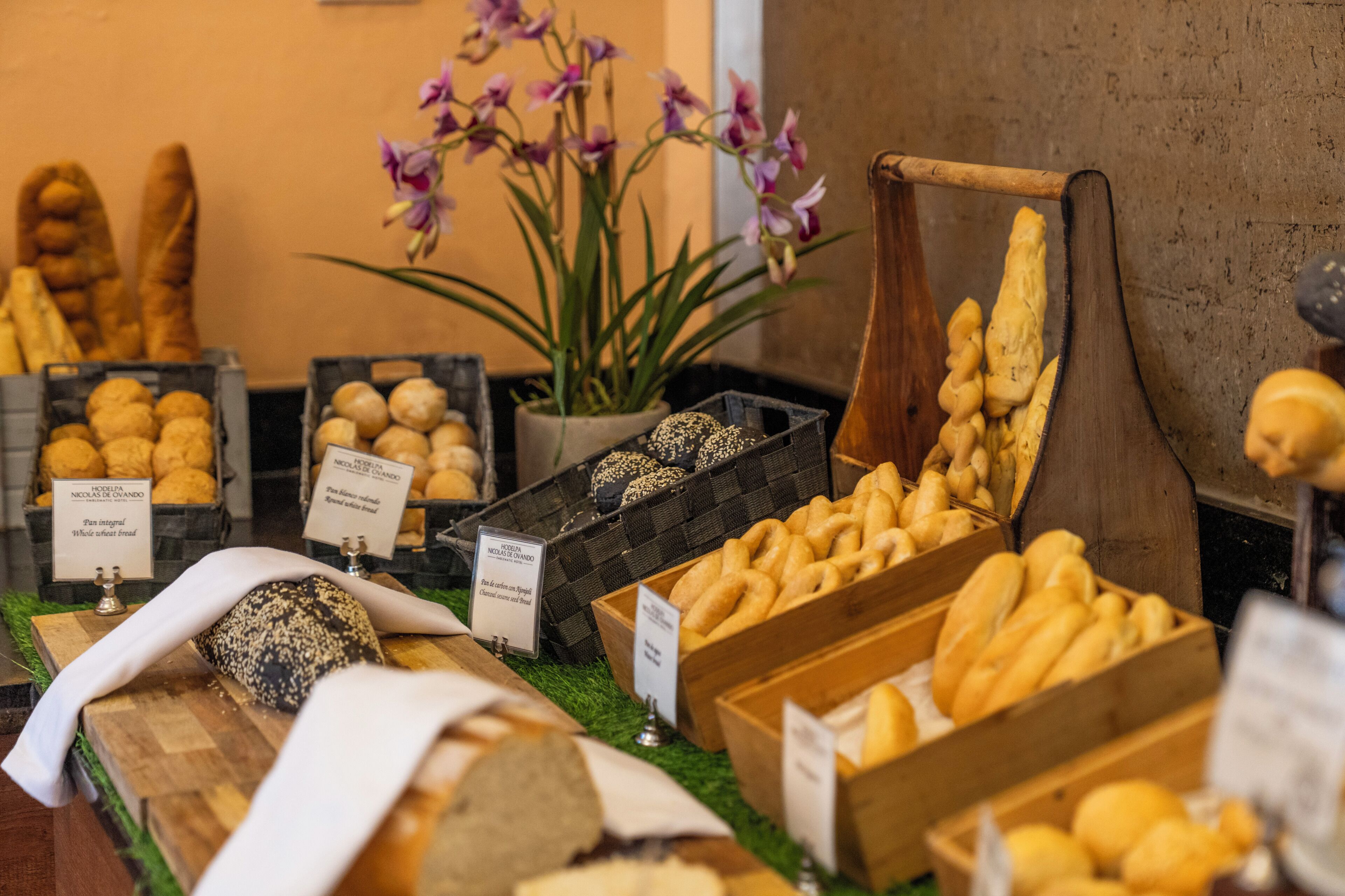 Una vitrina de panadería con panes y pasteles varios, cajas de madera y una planta en maceta.