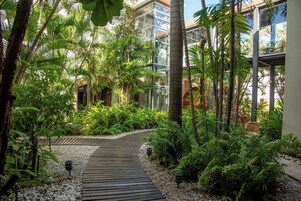 Un sendero en un jardín tropical que conduce a un edificio con paredes de vidrio.