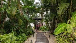 Un sendero atraviesa un exuberante jardín con plantas tropicales y un edificio al fondo.