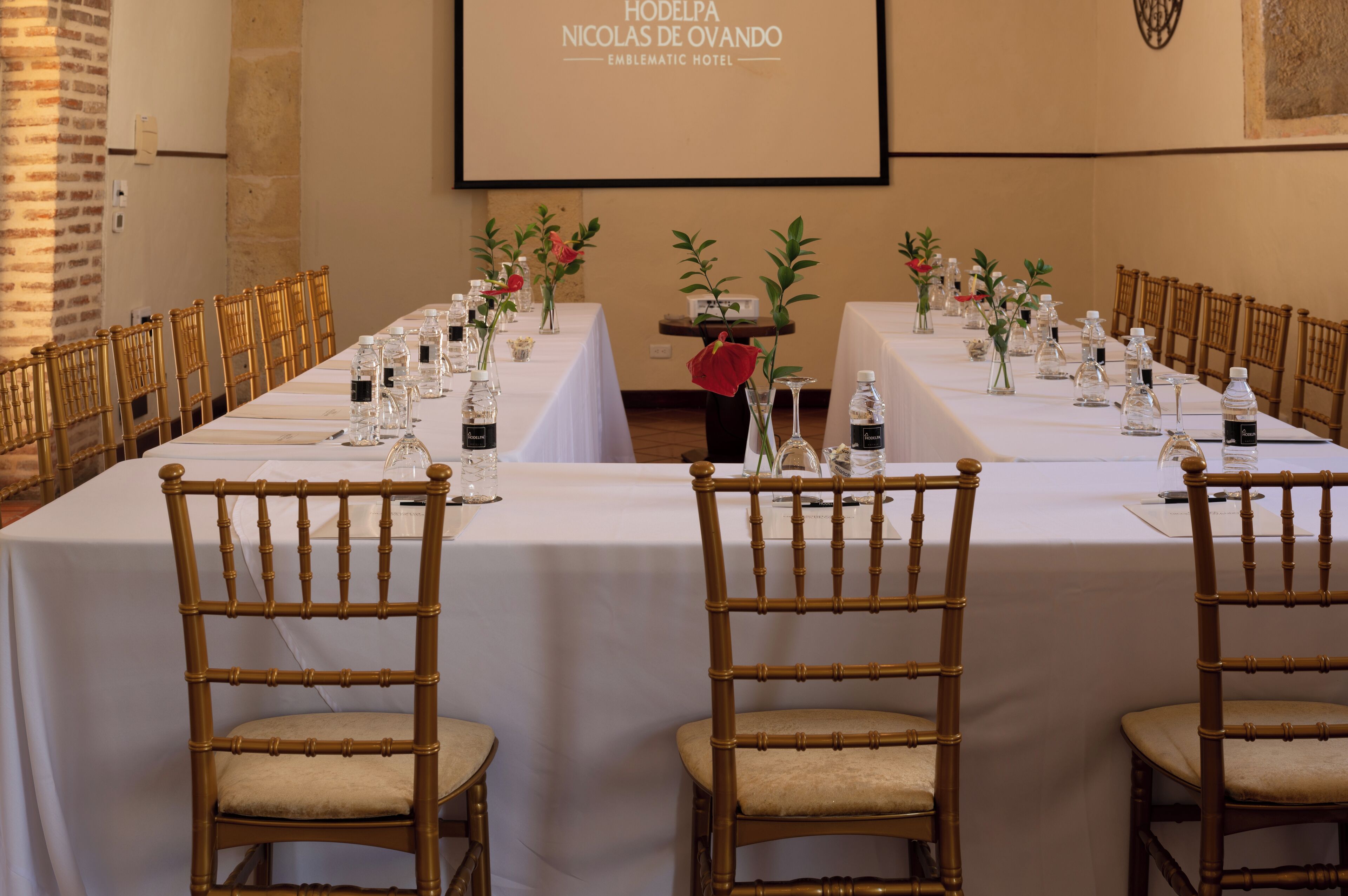 Foto - Hodelpa Nicolás de Ovando