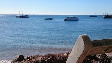 Perto da praia, bar na praia, prática de remo/canoagem