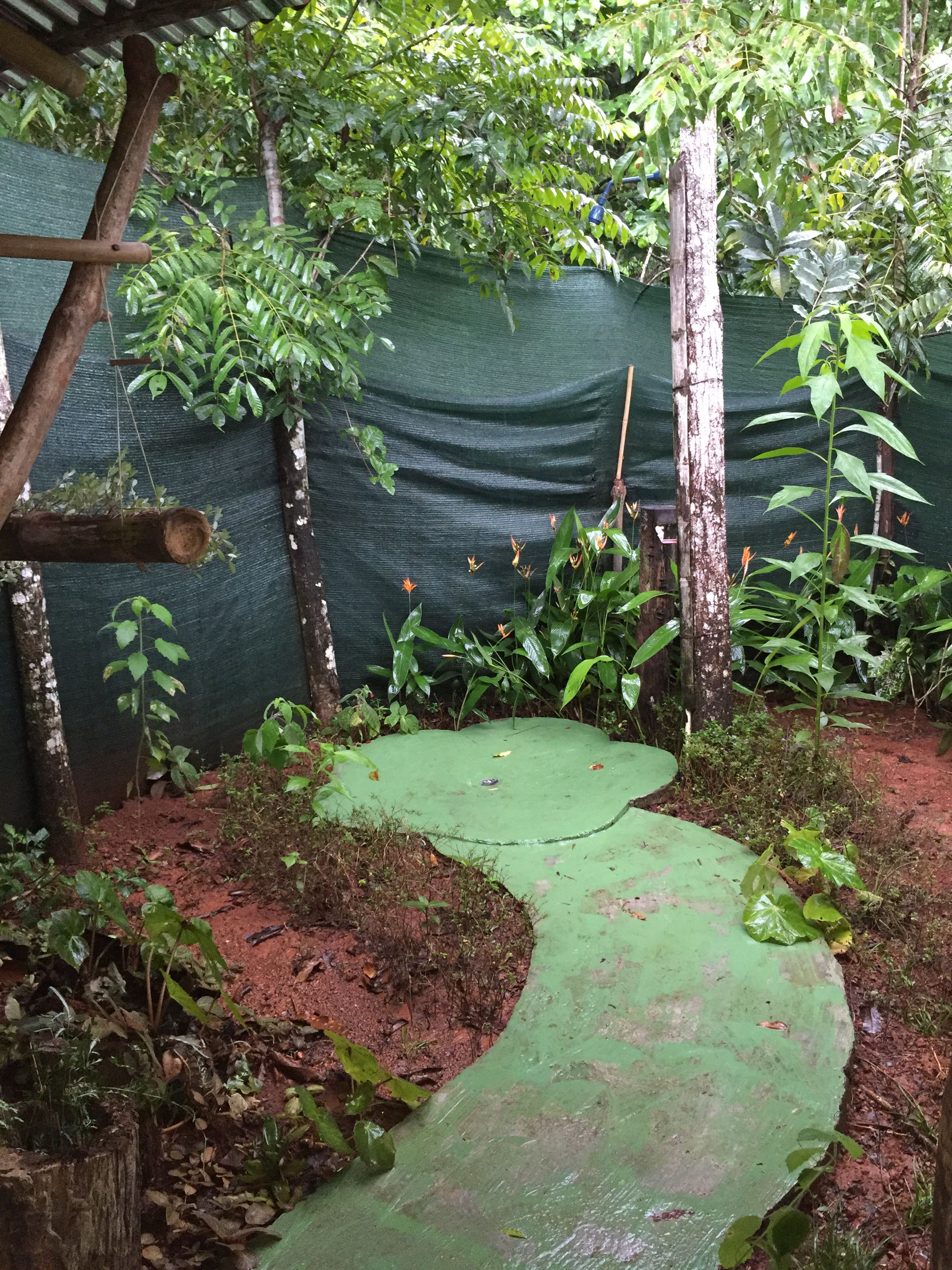 Standard Cabin, 1 Bedroom, River View, Mountainside | Garden