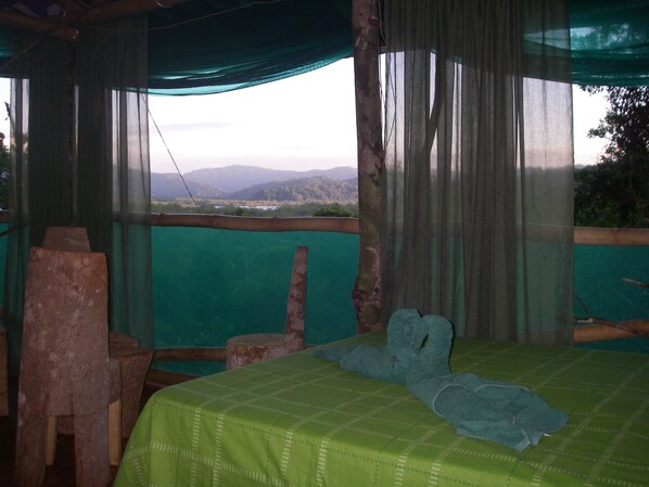 Superior Cabin, 1 Bedroom, River View, Mountainside | View from room - Isla Violin Eco Lodge (Sierpe)