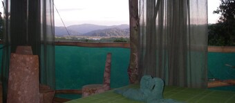 Isla Violin Eco Lodge