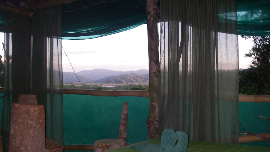 Isla Violin Eco Lodge