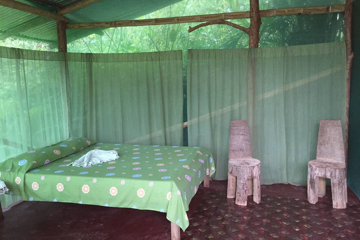 A room with a bed, two wooden chairs, and a green patterned bedspread.