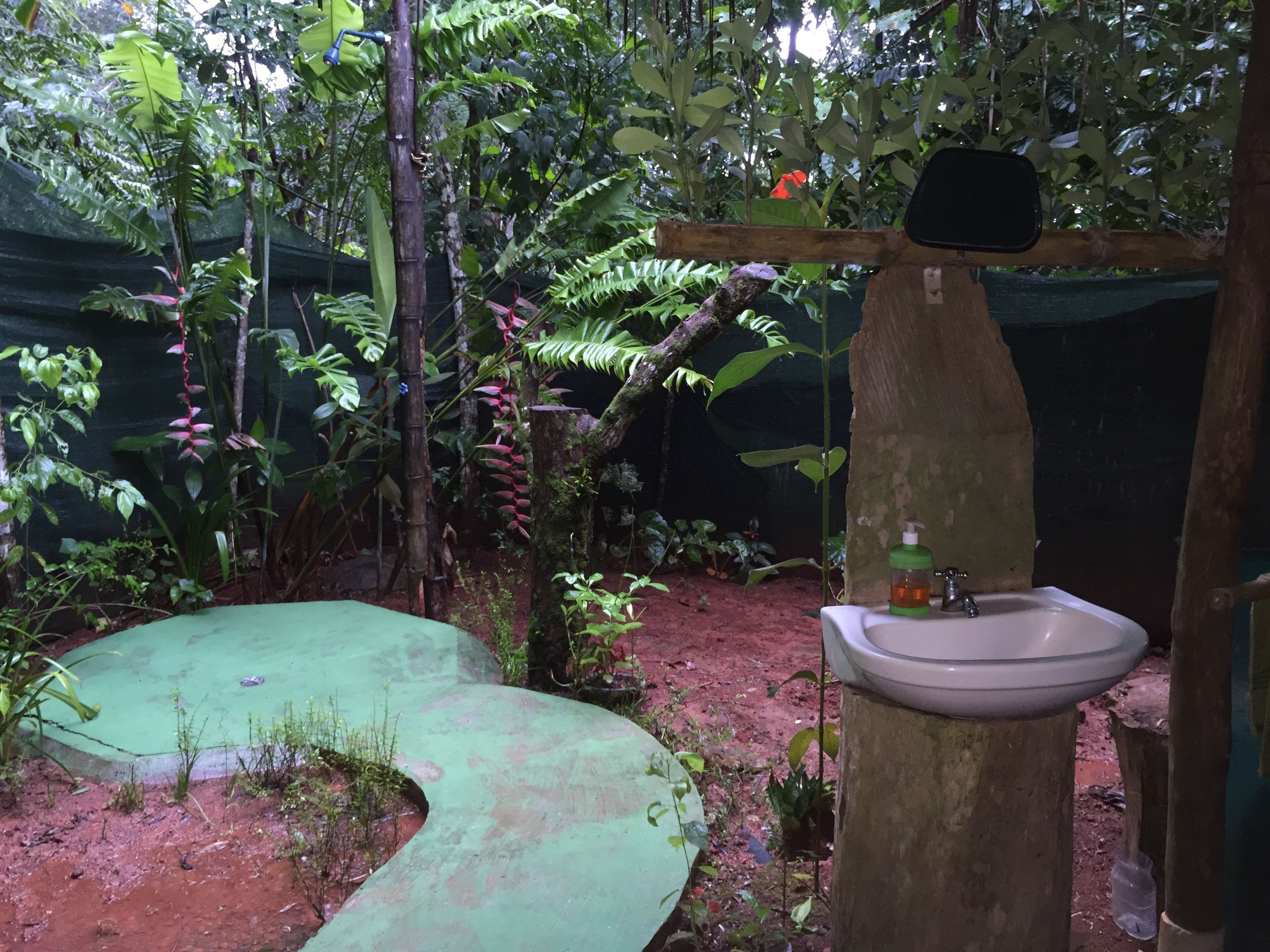 A rustic bathroom with a sink and a mirror, surrounded by dense foliage and a green mat.