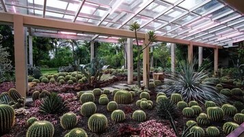 Jardines del alojamiento