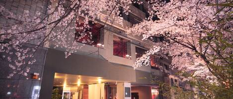 Bagian depan properti - sore/malam