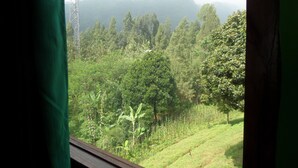 A view of a lush green landscape with trees and hills. - Istana Petani Hotel (Sukapura)