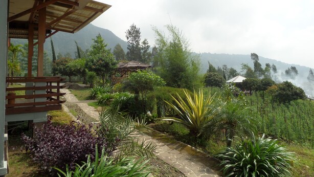 A garden pathway leading to a wooden structure with a roof, surrounded by lush greenery and a mountainous backdrop. - Istana Petani Hotel (Sukapura)