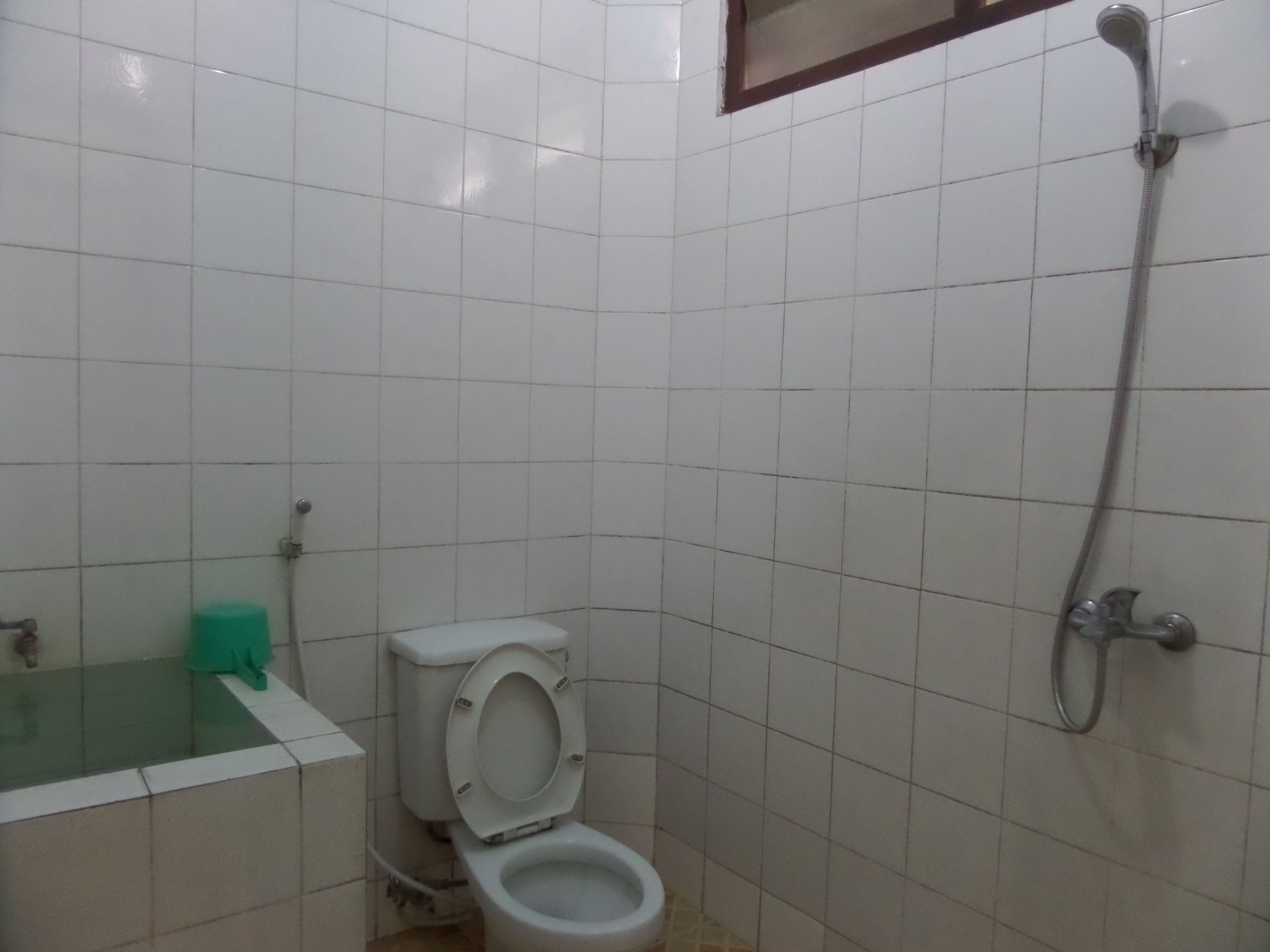 Un baño pequeño con azulejos blancos, inodoro, ducha y dispensador de pañuelos verdes.