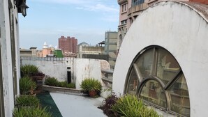 A rooftop garden with potted plants and a pathway.