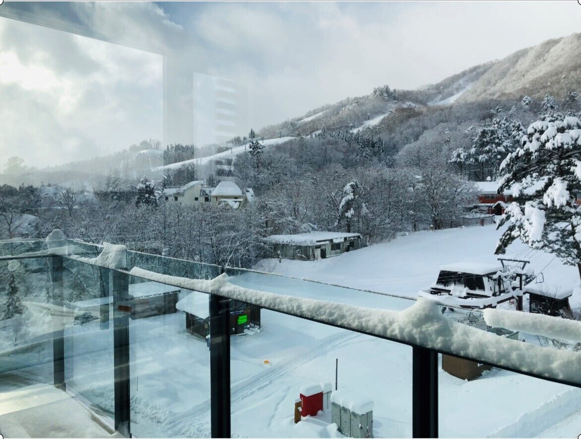 A snowy landscape with buildings and trees covered in snow.