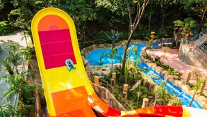 A water slide with a tropical theme, surrounded by lush greenery and a pool area.