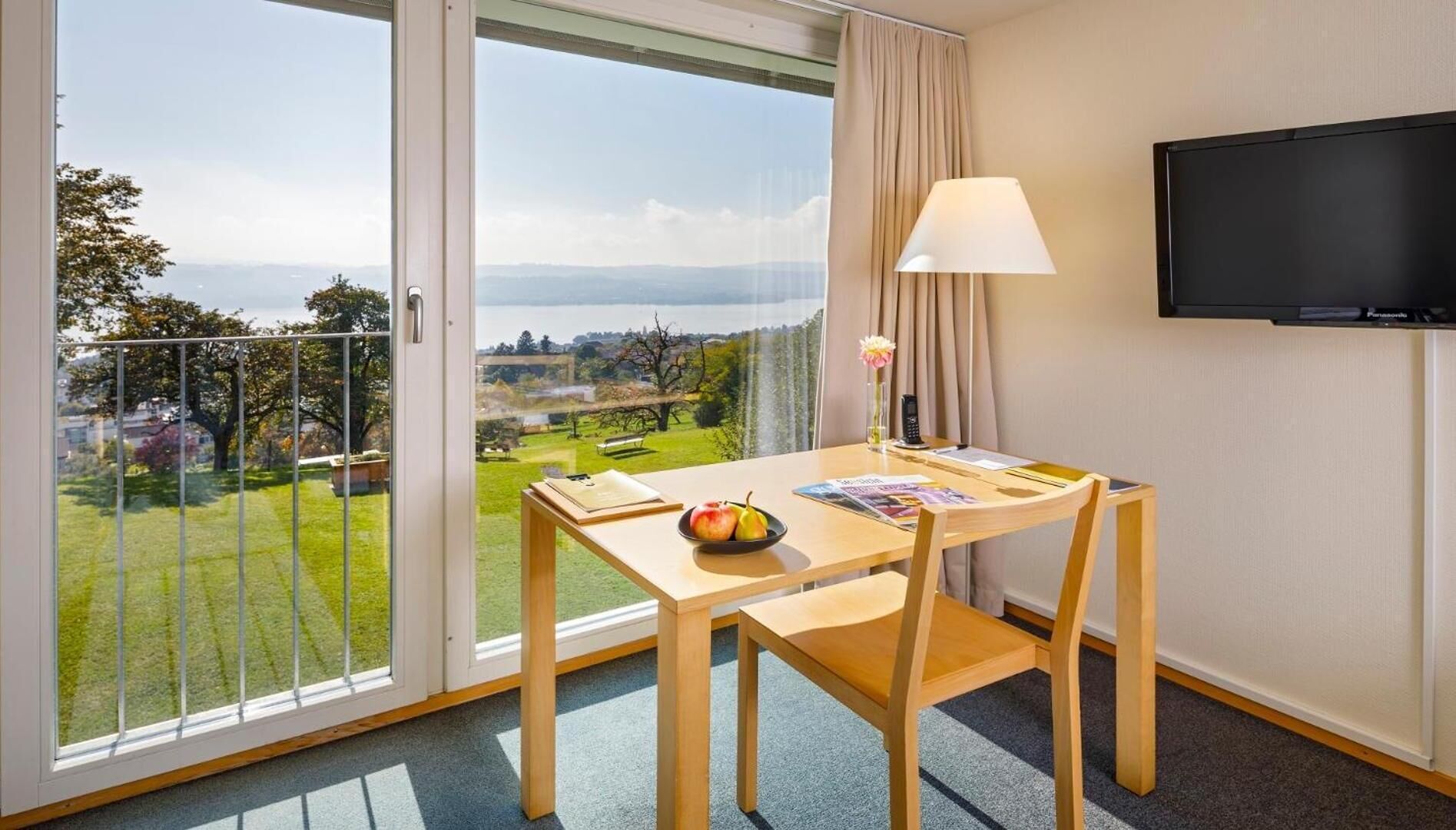 single room, lake view | 1 bedroom, desk, laptop workspace, iron/ironing board