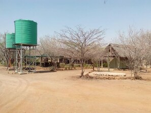 Property grounds - Liya Lodge and Campsite (Kasane)