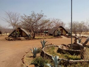 Property grounds - Liya Lodge and Campsite (Kasane)