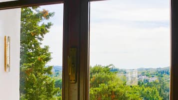 Dobbeltrom | Utsikt fra rommet