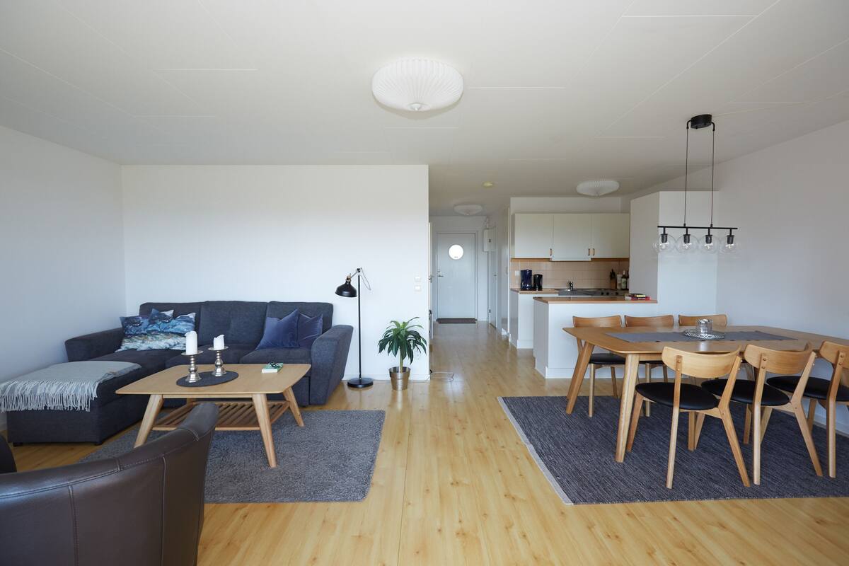 A modern apartment with a living room, dining area, and kitchen.