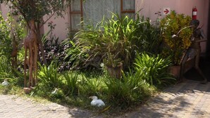 A garden with various plants and a statue of a person. - Liya Guest Lodge (Kasane)