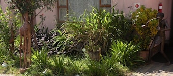 Liya Guest Lodge