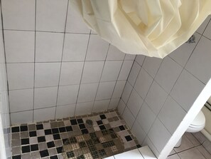 Standard Double Room | Bathroom | Shower, free toiletries, towels