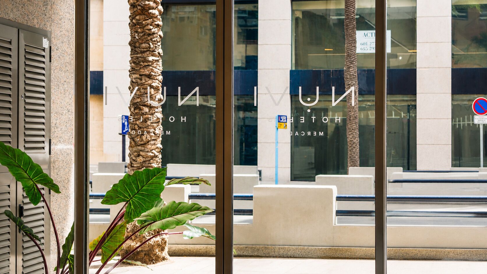 Entrada de un hotel con una palmera, una puerta de cristal y un cartel con el nombre del hotel.
