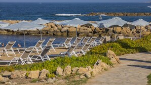 A beachside lounge area with rows of sun loungers and umbrellas, a rocky shoreline, and the ocean in the background. - Leonardo Plaza Cypria Maris Beach Hotel & Spa (Geroskipou)