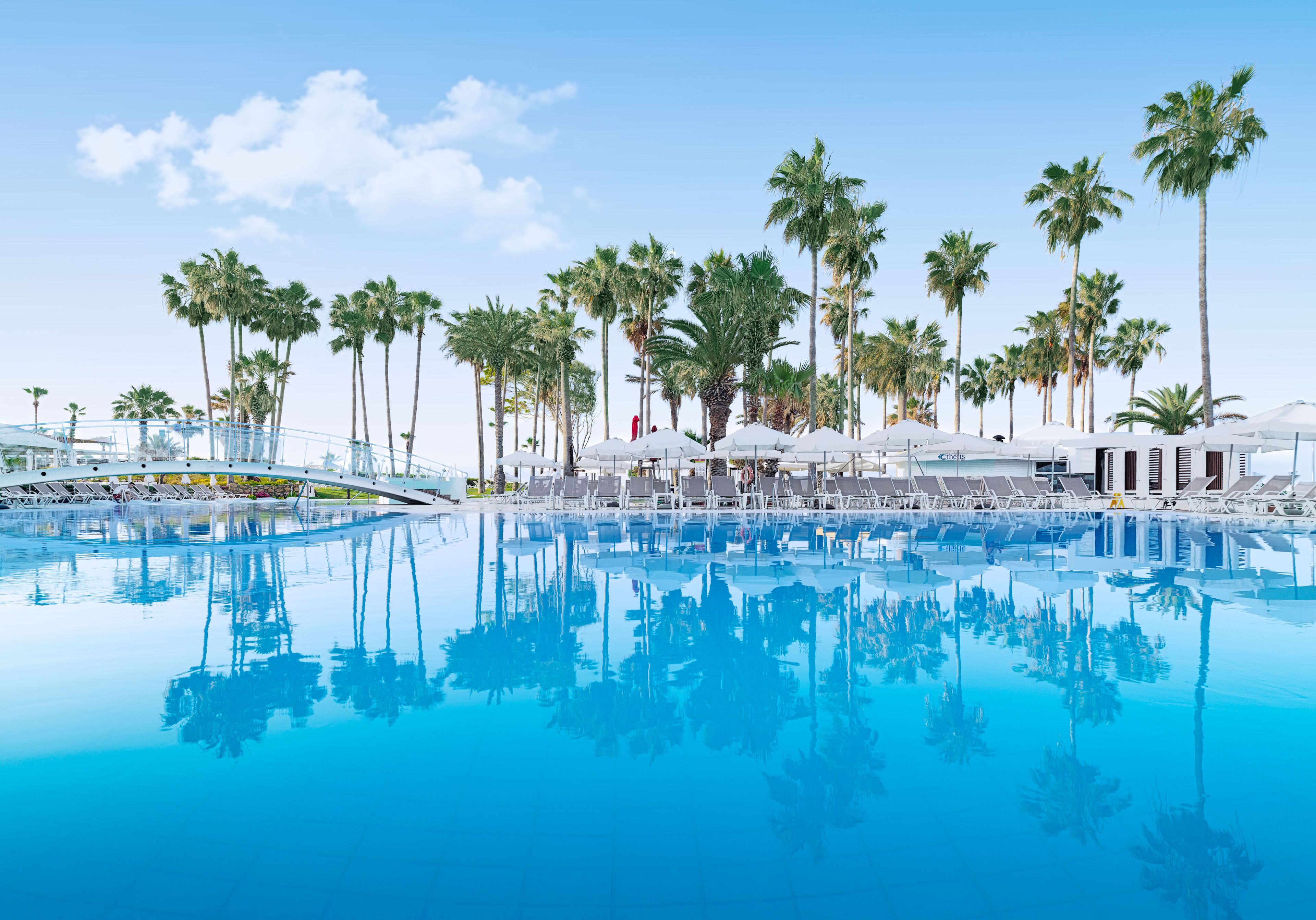 Un área de piscina con sillas de descanso y sombrillas, rodeada de palmeras.