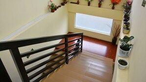 Una escalera con barandilla negra, una ventana con persianas y varios maceteros en las paredes.